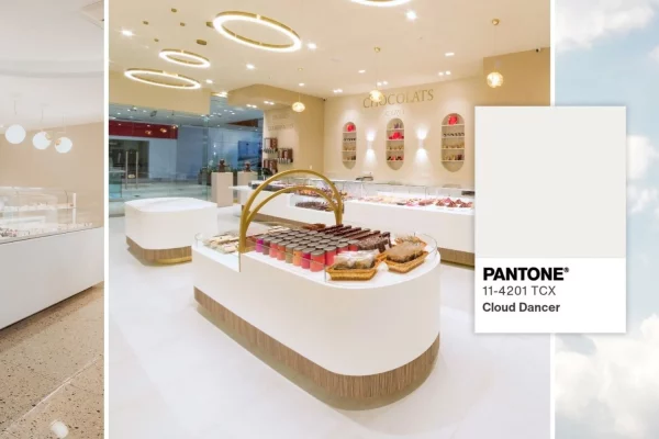 Pantone 2026 Cloud Dancer : L&rsquo;expertise EVEMA au service du design dans les métiers de bouche